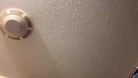 Snapshot of tbeebe12 chatting on 03/26/26, 04:45 Lilbeebs online show from 03/26/26, 04:45