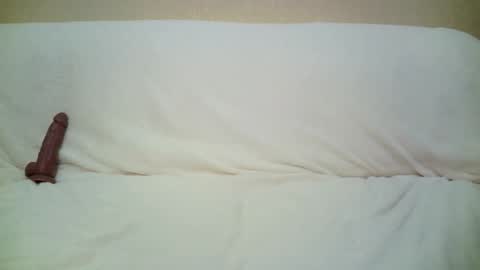 teach4kitty online show from 09/29/25, 07:30