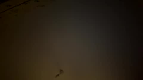 Snapshot of teecup4osk chatting on 02/08/26, 04:38 teecup4osk online show from 02/08/26, 04:38