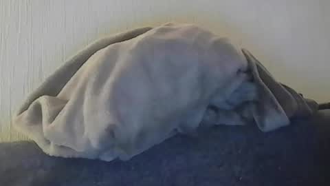 Peter online show from 05/06/26, 06:35