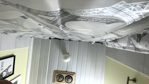 Twizzler online show from 02/12/25, 12:33