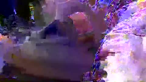 teki80j online show from 01/30/25, 08:11