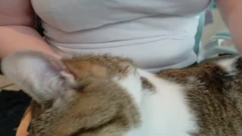 Pixie and Tentacle Overlord online show from 05/13/26, 06:16