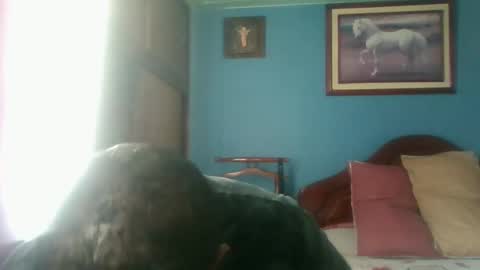 Fabio Canavaro online show from 01/03/25, 04:59