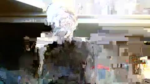 terdy2366 online show from 10/07/25, 03:25
