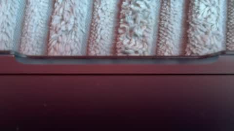 Snapshot of tetebumbum chatting on 08/03/26, 01:05 tetebumbum online show from 08/03/26, 01:05