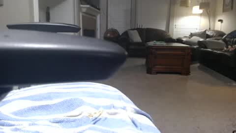 texasmale53 online show from 06/19/26, 02:38