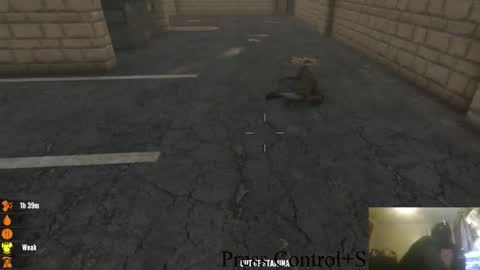 . online show from 10/28/25, 01:42