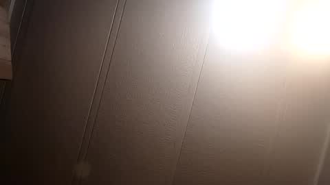 Snapshot of thatb1 chatting on 02/22/25, 10:40 thatb1 online show from 02/22/25, 10:40