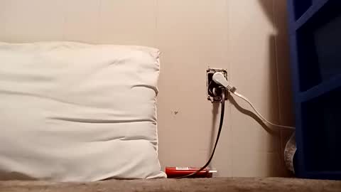 thatb1 online show from 12/16/25, 04:50