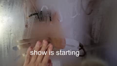 Snapshot of the_pussy_boulevard chatting on 12/20/25, 01:23 Anna online show from 12/20/25, 01:23