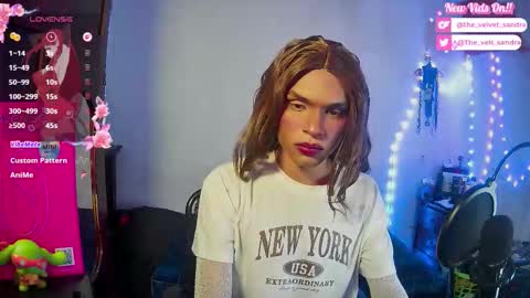 Snapshot of the_velvet_sandra chatting on 02/13/26, 05:03 Sandra 3 online show from 02/13/26, 05:03