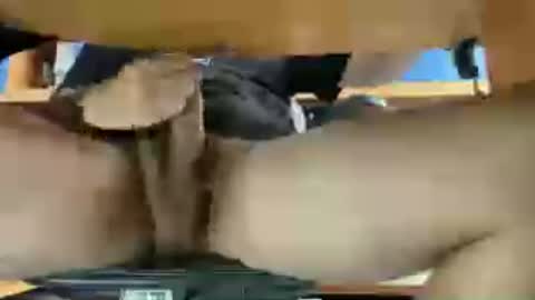 thecamenjoyer24 online show from 06/12/26, 12:26