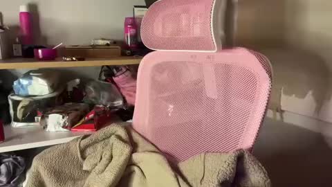 Snapshot of thecontcobracock24cm chatting on 02/07/25, 12:42 thecontcobracock24cm online show from 02/07/25, 12:42