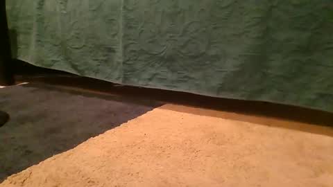 thedickhard1010 online show from 04/02/26, 04:32