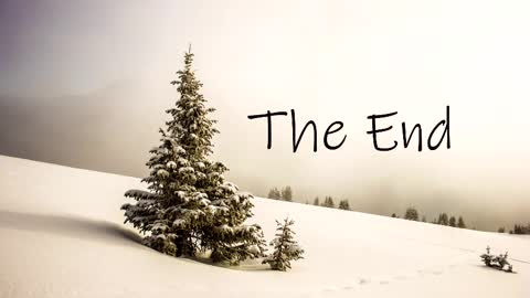 Snapshot of thedome372 chatting on 03/03/25, 10:42 thedome372 online show from 03/03/25, 10:42