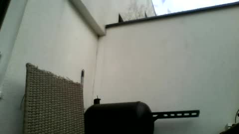 Snapshot of theforkliftman chatting on 03/22/26, 12:41 theforkliftman online show from 03/22/26, 12:41