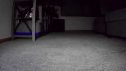 Snapshot of thegreat6268469 chatting on 12/24/24, 10:44 thegreat6268469 online show from 12/24/24, 10:44