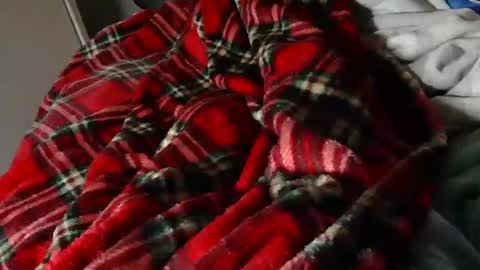 Snapshot of thejerk1974 chatting on 03/23/26, 08:35 Liam online show from 03/23/26, 08:35