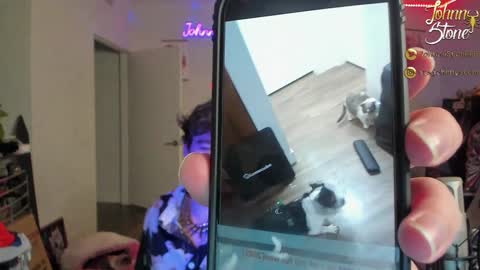 Johnny Stone online show from 12/29/24, 01:13