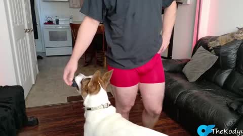 thekodyy online show from 11/04/25, 01:10