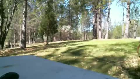 Daisy and Tim online show from 03/19/26, 06:12