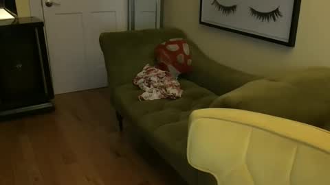 Cach Nelson online show from 11/11/25, 08:36