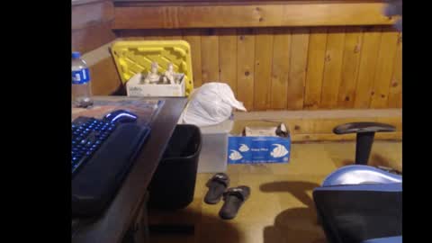 Snapshot of therealbigcheese0695 chatting on 10/29/25, 08:21 therealbigcheese0695 online show from 10/29/25, 08:21