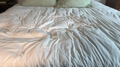 Snapshot of therealmayahill chatting on 04/13/26, 03:39 Maya Hill online show from 04/13/26, 03:39