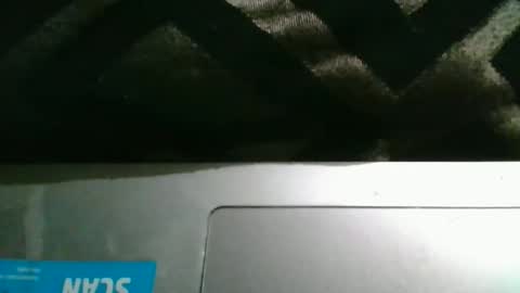 Snapshot of therealstackz69 chatting on 03/26/26, 11:54 therealstackz69 online show from 03/26/26, 11:54