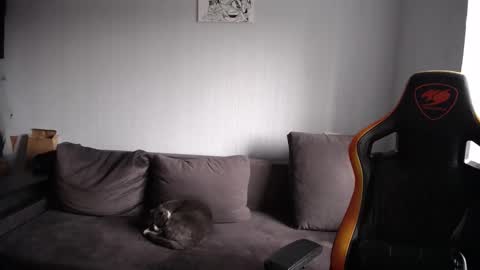 Snapshot of theroadtomars chatting on 11/23/25, 08:47 Nick online show from 11/23/25, 08:47