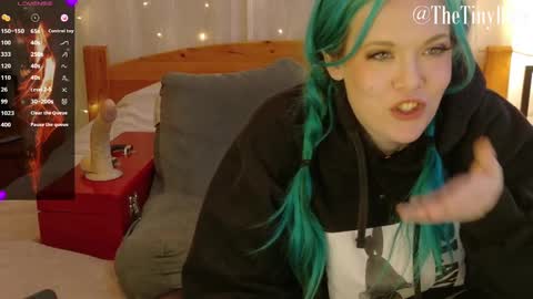 Snapshot of thetinyblue chatting on 02/28/25, 09:12 Tiny Blue online show from 02/28/25, 09:12