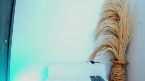 Snapshot of thiago_connor21 chatting on 12/01/25, 06:13 Thiago online show from 12/01/25, 06:13