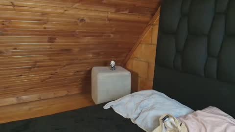 thiago_n_sam online show from 11/01/25, 12:01