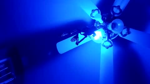 Snapshot of thickambr chatting on 02/05/26, 12:21 Thickamber online show from 02/05/26, 12:21