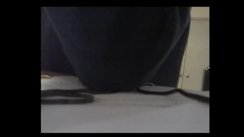 Snapshot of thickmelnik chatting on 11/13/25, 01:04 James online show from 11/13/25, 01:04