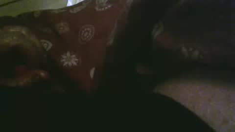 Snapshot of thisbloke96 chatting on 12/17/25, 10:27 thisbloke96 online show from 12/17/25, 10:27