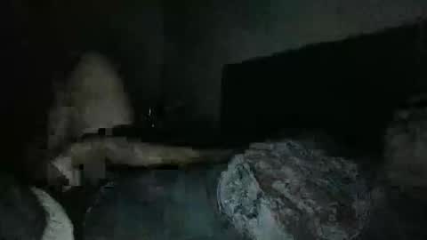 Snapshot of thisguyjake88 chatting on 03/08/26, 07:45 thisguyjake88 online show from 03/08/26, 07:45