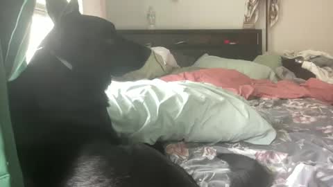 Snapshot of throatyygoat chatting on 09/21/25, 06:53 throatyygoat online show from 09/21/25, 06:53