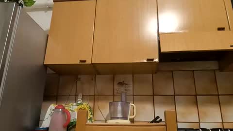 Little Wolf  online show from 11/10/25, 05:34