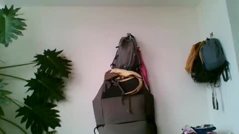 Snapshot of tiaretiareopui chatting on 10/31/25, 11:22 tiaretiareopui online show from 10/31/25, 11:22