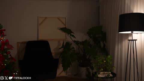 Snapshot of tifalock_ chatting on 12/12/24, 11:47 Tifa online show from 12/12/24, 11:47