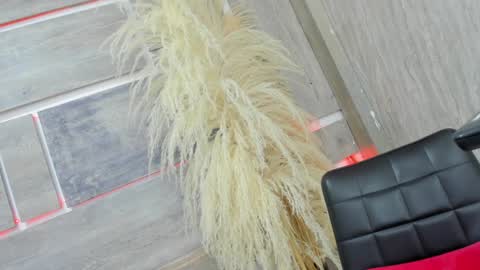 Snapshot of tiff_valentine chatting on 02/05/25, 07:50 Tiffany online show from 02/05/25, 07:50