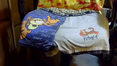 Snapshot of tiggerfan chatting on 03/30/26, 04:13 Twig and berries... online show from 03/30/26, 04:13