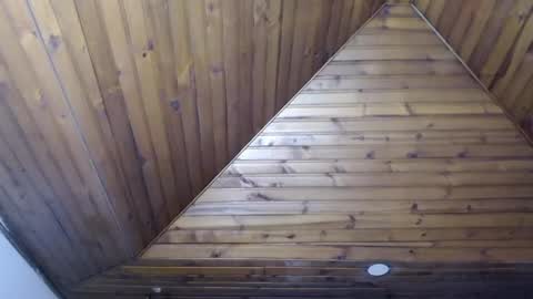 Tiina  online show from 01/19/25, 05:49