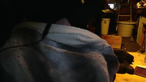 Snapshot of tinkertrain420 chatting on 12/02/24, 09:56 tinkertrain420 online show from 12/02/24, 09:56