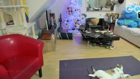 Tiny online show from 12/03/25, 04:31