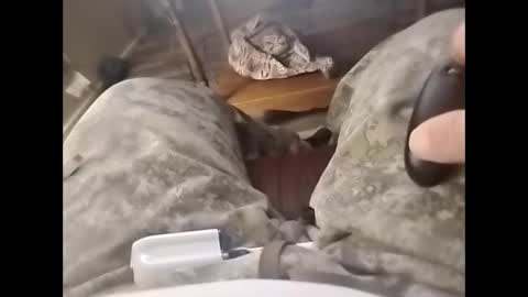 Snapshot of tjllagwbggrr chatting on 02/03/26, 05:16 tjllagwbggrr online show from 02/03/26, 05:16