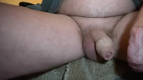 Snapshot of togbear chatting on 02/02/25, 11:42 Togbear online show from 02/02/25, 11:42