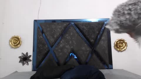 Snapshot of tom_and_jerry_69 chatting on 10/03/25, 01:08 Tom And Jerry 69 online show from 10/03/25, 01:08